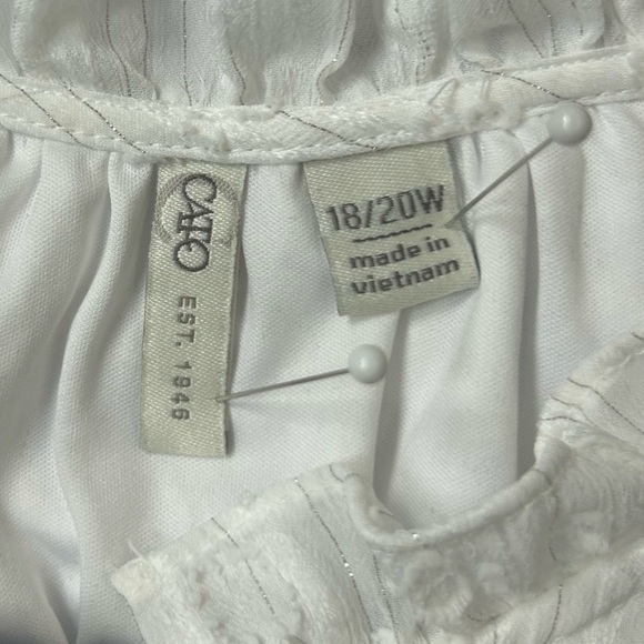 White Ruffle Sleeveless Blouse with Tie Neck. - Picture 3 of 8